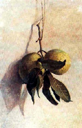 Guavas